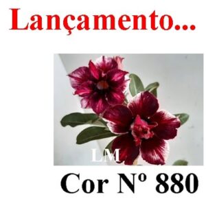 ENXERTO 8655 – 20cm (cor LM 880)