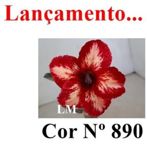 ENXERTO COR LM 890