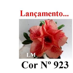 ENXERTO COR LM 923
