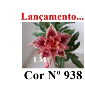 ENXERTO COR LM 938