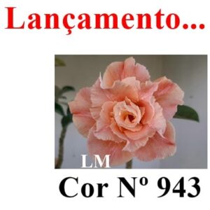 ENXERTO 8646 – 20cm (cor LM 943)