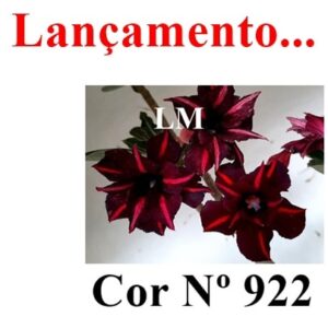 ENXERTO 8918 – 22cm (cor LM 922)