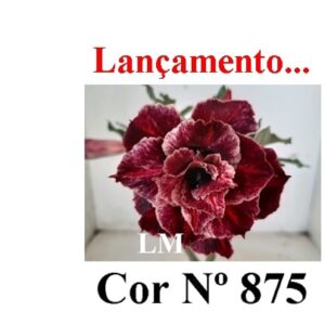 ENXERTO 7408 – 22cm (cor LM 875)