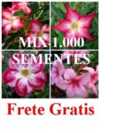 MIX de 1.000 sementes para cavalo, com Frete Grátis