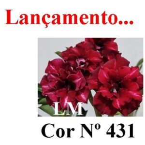 ENXERTO 9554 – 22cm (cor LM 431)