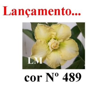ENXERTO 9540 – 25cm (cor LM 489)