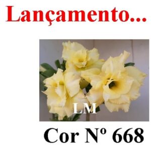 ENXERTO 9551 – 22cm (cor LM 668)