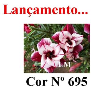 ENXERTO 9549 – 20cm (cor LM 695)
