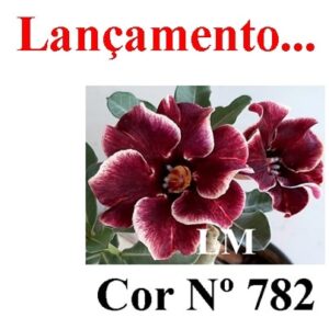 ENXERTO 9559 – 20cm (cor LM 782)