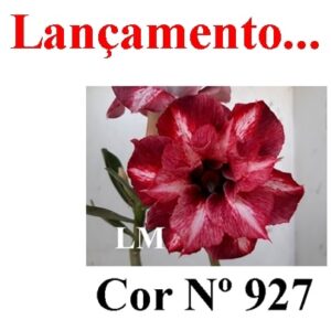 ENXERTO 9553 – 25cm (cor LM 927)