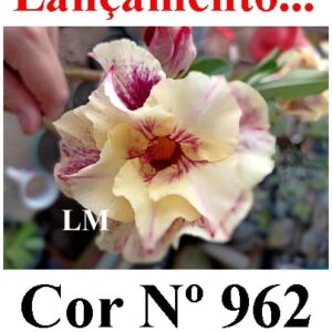ENXERTO 9560 – 20cm (cor LM 962)