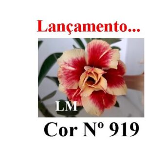 ENXERTO COR LM 919