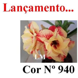 ENXERTO COR LM 940