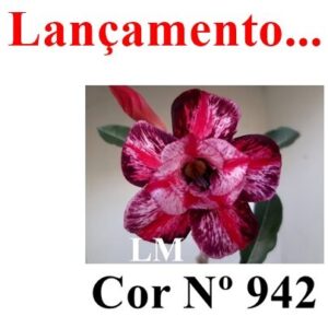 ENXERTO COR LM 942