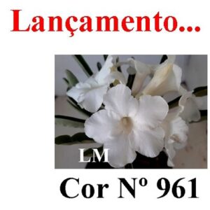 ENXERTO COR LM 961