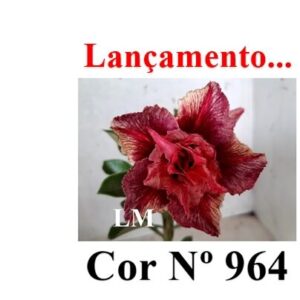 COR ENXERTO LM 964
