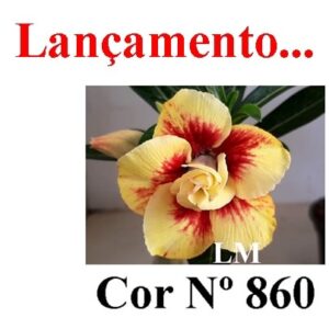 ENXERTO 10498 – 22cm (cor LM 860)