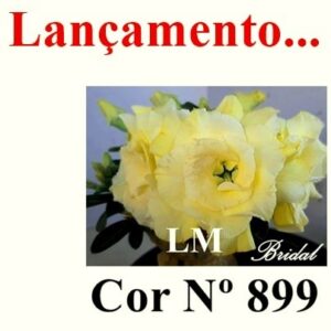 ENXERTO 10910 – 20cm (cor LM 899) BRIDAL