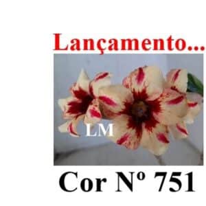 COR ENXERTO LM 751