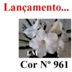 ENXERTO 11718 – 20cm (cor LM 961)