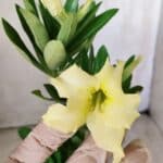 Planta Simples 2640 – 30cm – 02 anos