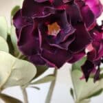 Planta Dobrada 2908 – 40cm – 03 anos