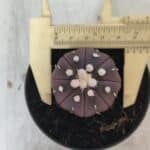 ASTROPHYTUM ASTERIAS “Purple”  Nº 828 – vaso 09