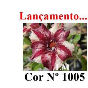 ENXERTO 11942 – 20cm (cor LM 1005)