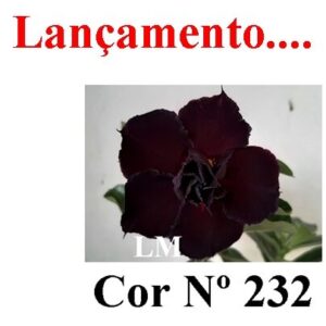 ENXERTO 11991 – 22cm (cor LM 232)