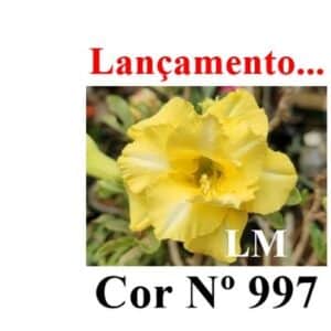 ENXERTO 11982 – 20cm (cor LM 997)