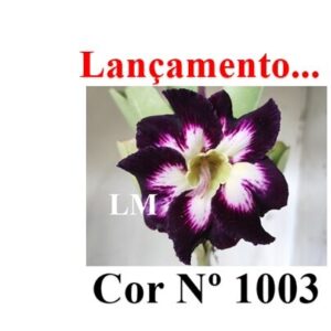 ENXERTO 12007 – 20cm (cor LM 1003)