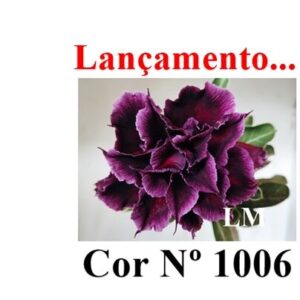 ENXERTO 12015 – 20cm (cor LM 1006)