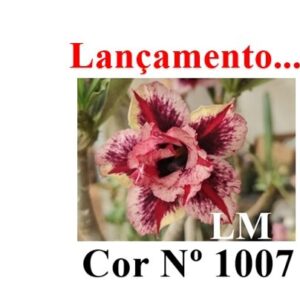 ENXERTO 12017 – 20cm (cor LM 1007)