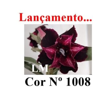 ENXERTO COR LM 1008