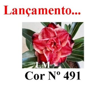 ENXERTO 12016 – 20cm (cor LM 491)