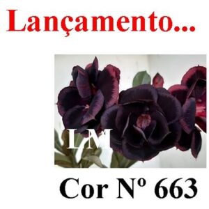 ENXERTO 12013 – 20cm (cor LM 663)