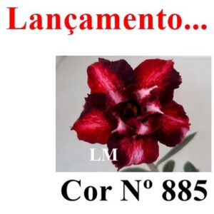 ENXERTO 12019 – 20cm (cor LM 885)