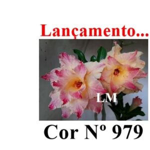 ENXERTO 12004 – 20cm (cor LM 979)