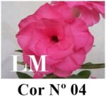 ENXERTO 12046 – 20cm (cor LM 04) - Imagem 8