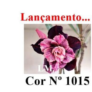 ENXERTO COR LM 1015