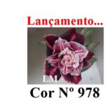 ENXERTO 12044 – 20cm (cor LM 978) - Imagem 6