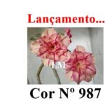 ENXERTO 12040 – 20cm (cor LM 987)