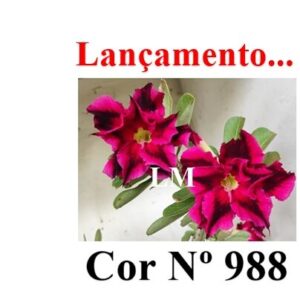 ENXERTO 12032 – 20cm (cor LM 988)