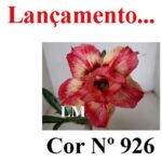 ENXERTO 12043 – 20cm (cor LM 926) - Imagem 8