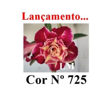 ENXERTO COR LM 725