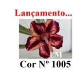 ENXERTO 12065 – 20cm (cor LM 1005) - Imagem 7