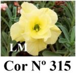 ENXERTO 12074 – 20cm (cor LM 315) - Imagem 6