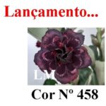 ENXERTO 12105 – 30cm (cor LM 458) - Imagem 8