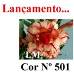 ENXERTO 12076 – 20cm (cor LM 501) - Imagem 7