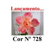 ENXERTO 12082  – 20cm (cor LM 728) - Imagem 6